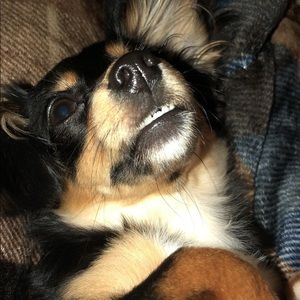 Meet your Posher, Jamie